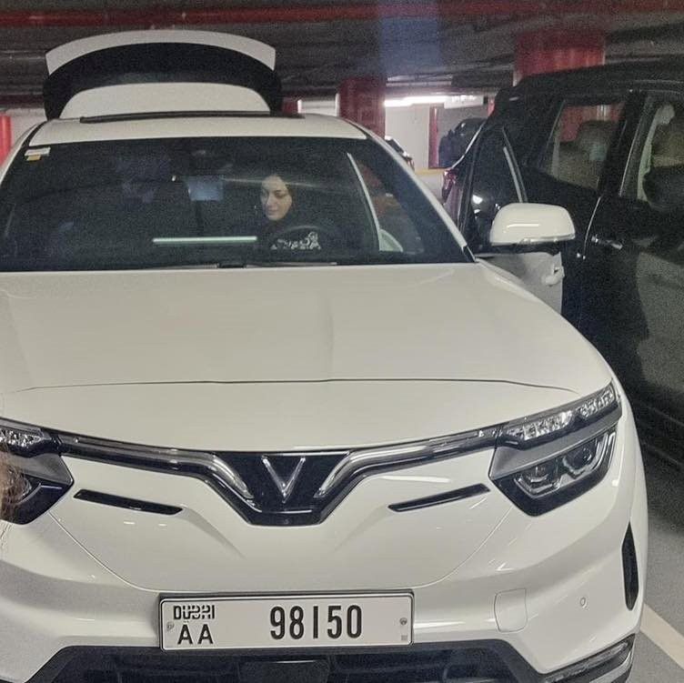 Tàu Silver Queen VinFast vẫn thường dùng vừa bất ngờ cập cảng Dubai - Ảnh 3