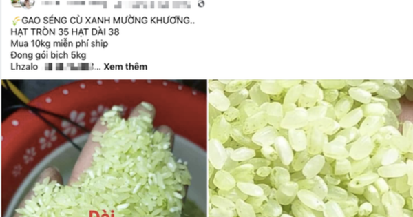 Trưởng Phòng Nông nghiệp: "Tôi cũng khó mua được gạo Séng Cù Mường Khương thật"