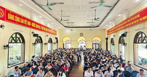 Ninh Bình: Thu về gần 400 tỷ đồng sau 3 phiên đấu giá, có phiên thu hút số lượng hồ sơ cao kỷ lục