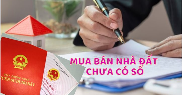 Từ ngày 4/10, bán đất không sổ đỏ bị phạt tới 100 triệu đồng