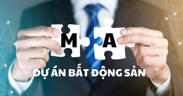 M&A bất động sản sôi động trở lại, có 11 thương vụ đáng chú ý trong 9 tháng đầu năm 2024