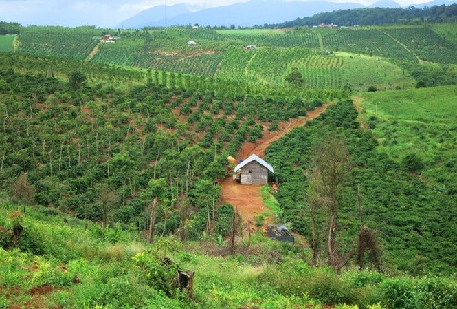 Chuyển mục đích sử dụng hơn 18ha đất rừng tại Hòa Bình để làm khu công nghiệp gần 2.000 tỷ đồng - Ảnh 1