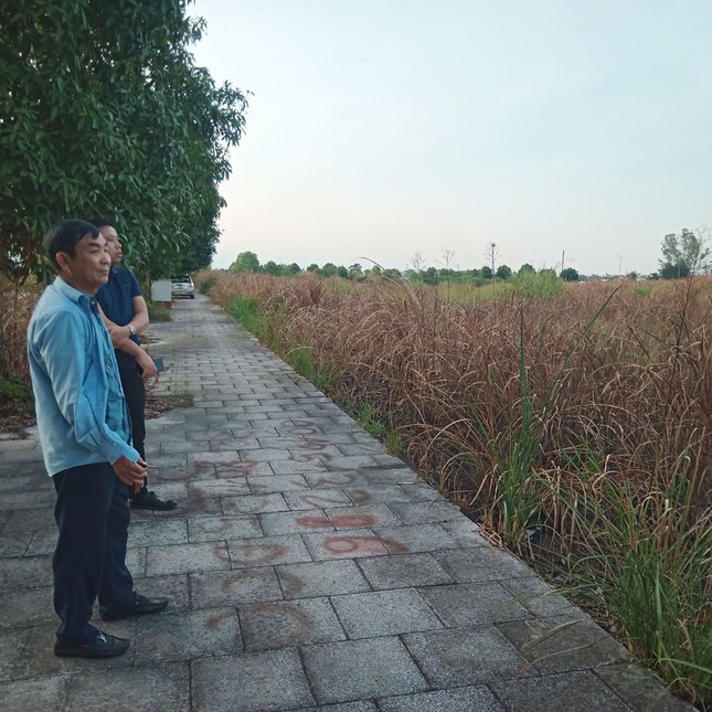 'Cò đất' nhộn nhịp quanh bệnh viện nghìn tỷ đắp chiếu ở Hà Nam - Ảnh 4