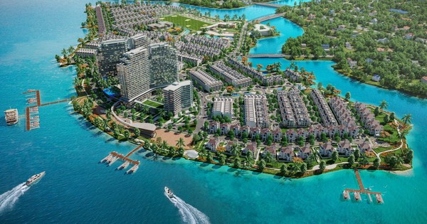 Đấu giá thành công, TTC Land chính thức sở hữu 100% dự án Cù Lao Tân Vạn