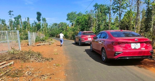 Bất động sản Củ Chi, Hóc Môn, Cần Giờ những ngày cận Tết: Liên tục đón tin vui từ hạ tầng, quy hoạch