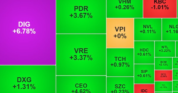 Cổ phiếu bất động sản tăng rực rỡ, loạt mã lớn: DIG, PDR, CEO,... nhuộm tím, xanh