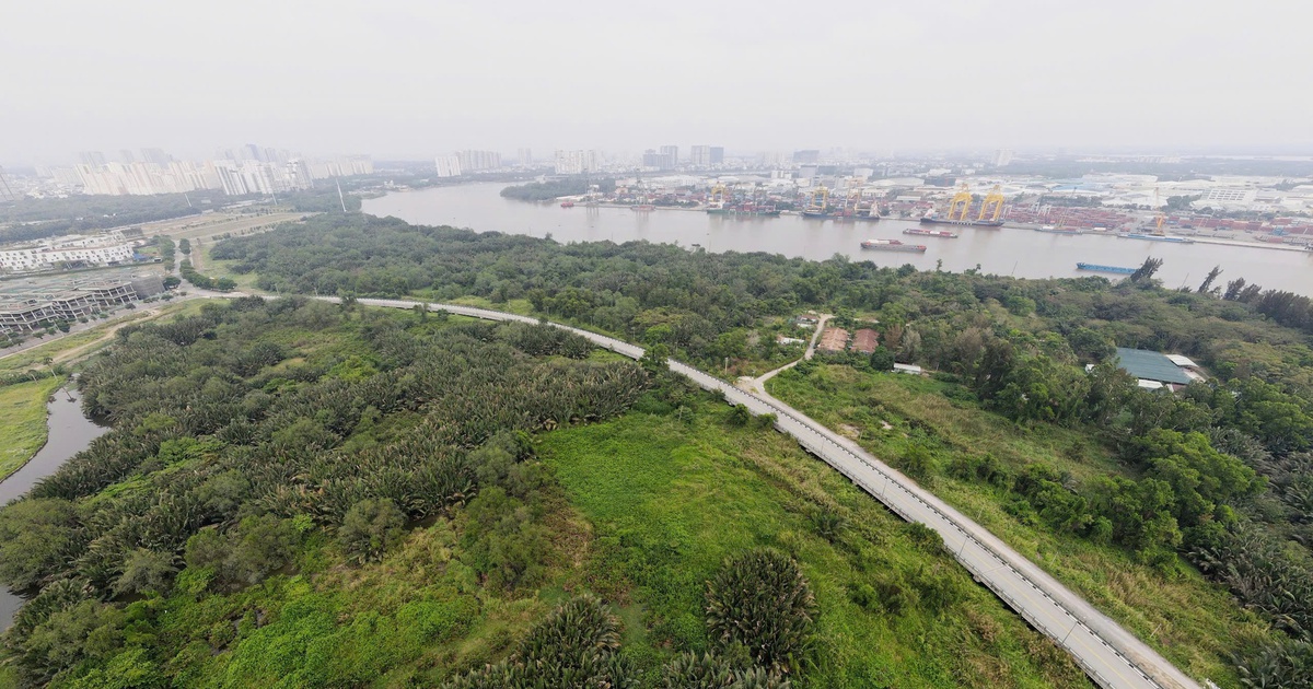 TP.HCM 'hồi sinh' khu lâm viên sinh thái hơn 150 ha