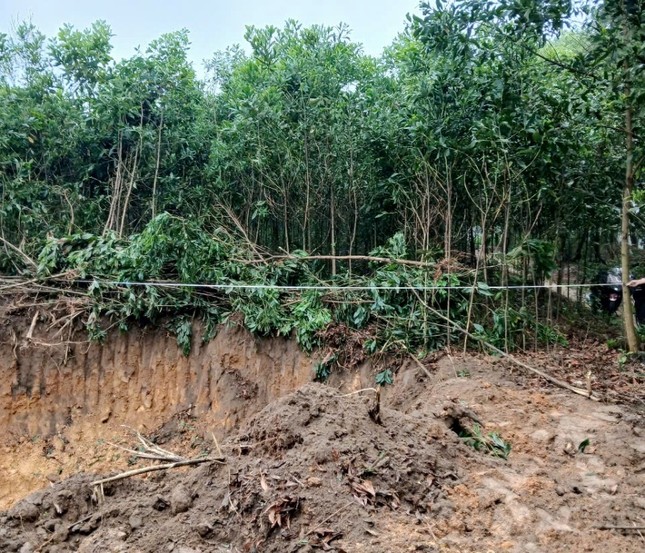Hà Nội: 'Đất tặc' ngang nhiên phá hoại cây trồng của người dân, xúc trộm hơn 500m3 đất - Ảnh 1