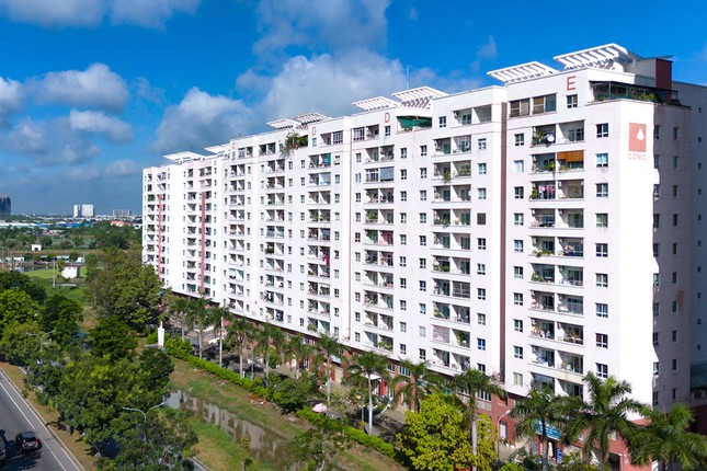 Ban quản trị chung cư bị phạt gần 120 tỷ đồng - Ảnh 1