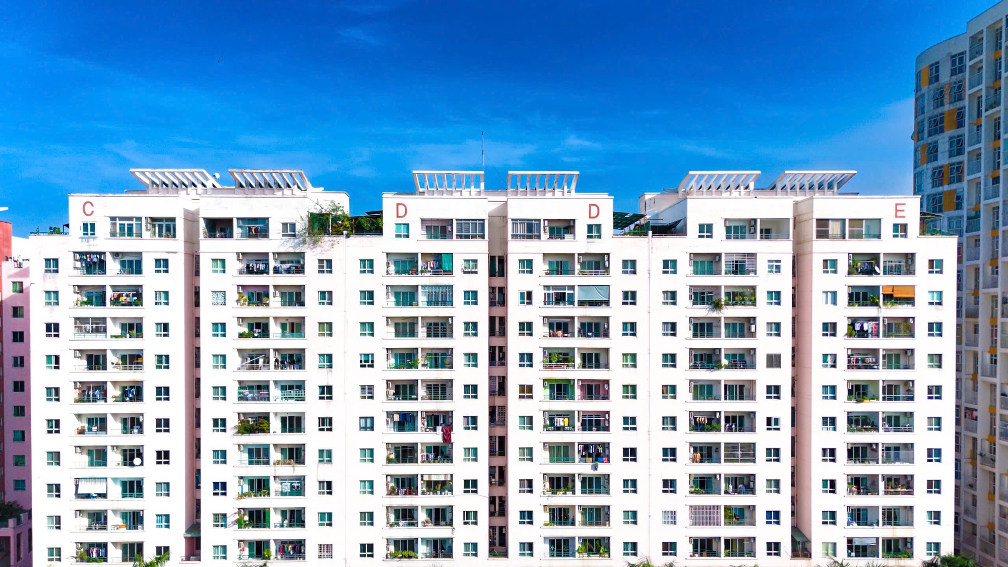 Ngỡ ngàng với khoản phạt thuế lên đến 120 tỷ đối với một ban quản trị chung cư tại TP.HCM - Ảnh 1