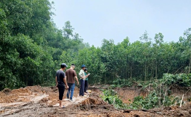 Hà Nội: 'Đất tặc' ngang nhiên phá hoại cây trồng của người dân, xúc trộm hơn 500m3 đất - Ảnh 2