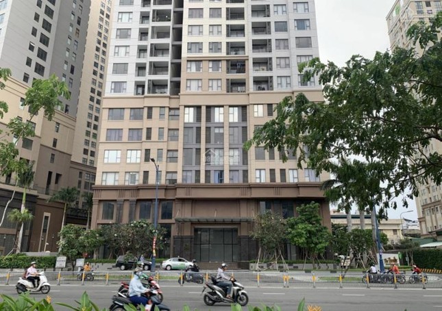 Hơn 71.000 nhà đất ở TPHCM được gỡ vướng để cấp sổ hồng - Ảnh 1