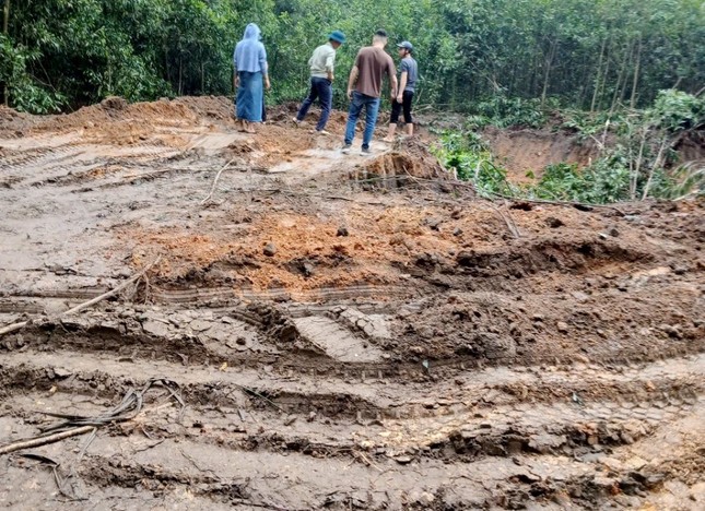 Hà Nội: 'Đất tặc' ngang nhiên phá hoại cây trồng của người dân, xúc trộm hơn 500m3 đất - Ảnh 6