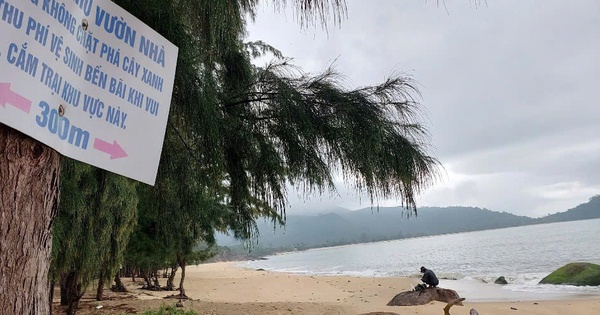 Đà Nẵng thông báo lần cuối về việc cưỡng chế thu hồi đất làm siêu dự án làng Vân
