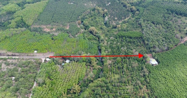 Nghiên cứu, rà soát kỹ phương án đầu tư đường kết nối Bình Phước - Đồng Nai qua cầu Mã Đà