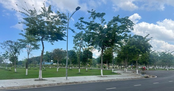 Chi tiết 29 dự án cây xanh Bộ Công an yêu cầu Bạc Liêu cung cấp hồ sơ