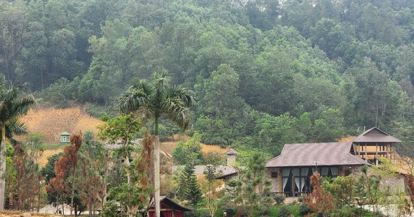 Chủ tịch Hà Nội yêu cầu khẩn trương xử lý vụ lấn chiếm đất rừng xây khu nghỉ dưỡng tại Thạch Thất