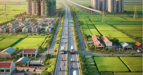 Chuyển mục đích sử dụng đất trồng lúa sang đất ở tại nông thôn, có phải trình Hội đồng nhân dân tỉnh?