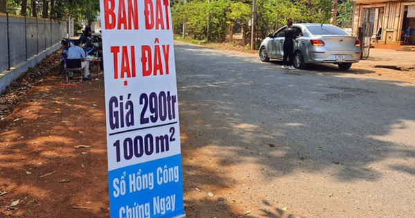 “Cơn sốt” đất nền đổ bộ Hải Phòng, Hưng Yên: Chuyện gì đang xảy ra?