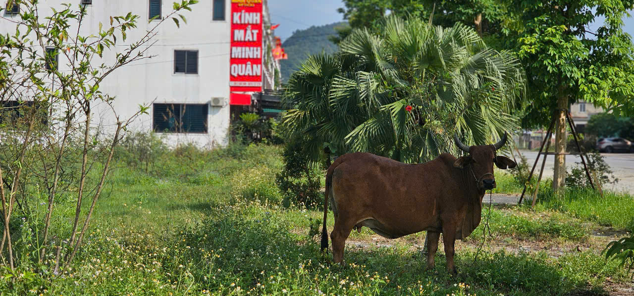 Cận cảnh khu đô thị hơn 1.400 tỉ đồng quá hạn tiến độ 6 năm vẫn chưa hoàn thành - Ảnh 16