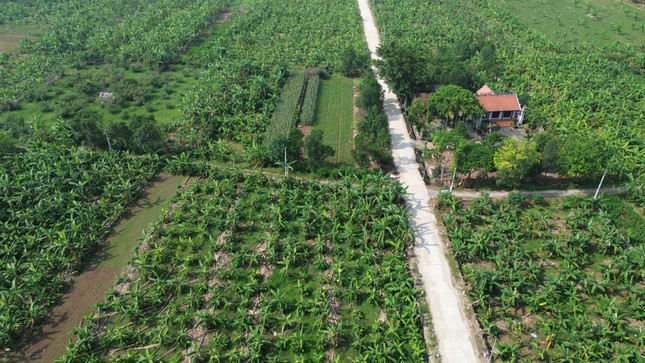 Hà Nội: Rút gọn quy trình về đất đai và không thu phí để xóa nhà tạm, nhà dột nát - Ảnh 1