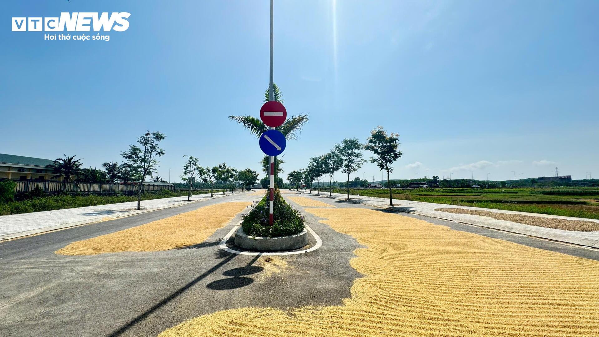 Đường hơn 34 tỷ nối Quốc lộ 1A ra giữa đồng, làm xong chỉ để phơi nông sản - Ảnh 2