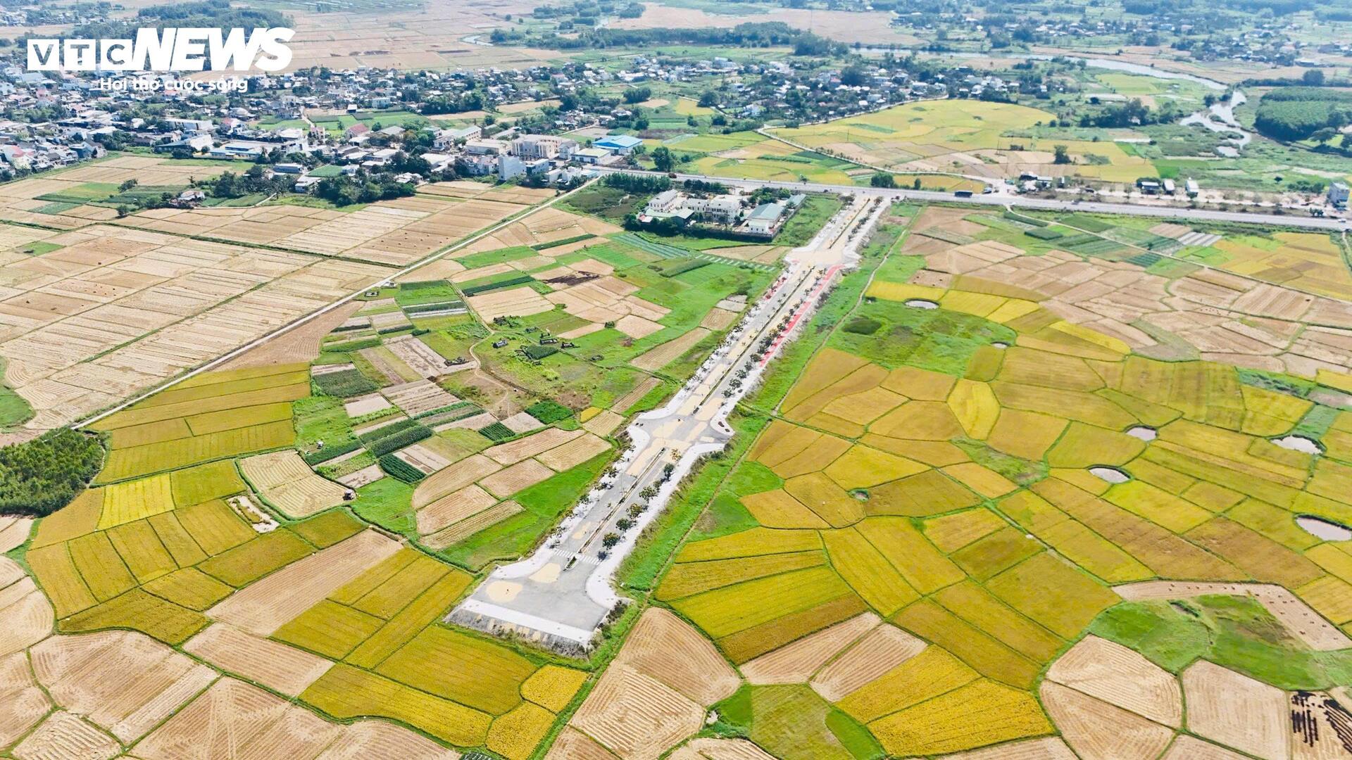 Đường hơn 34 tỷ nối Quốc lộ 1A ra giữa đồng, làm xong chỉ để phơi nông sản - Ảnh 1