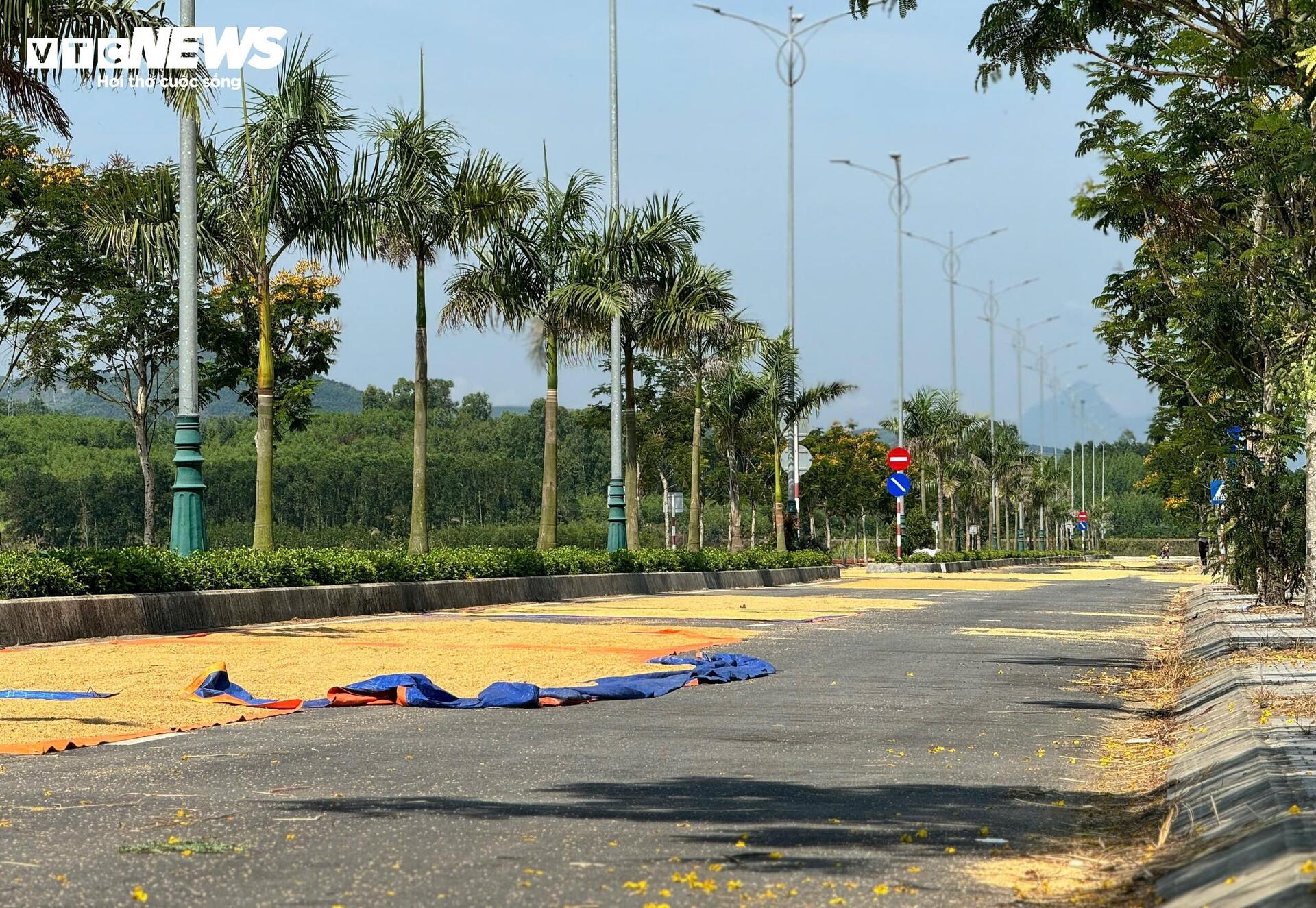 Đường hơn 34 tỷ nối Quốc lộ 1A ra giữa đồng, làm xong chỉ để phơi nông sản - Ảnh 3
