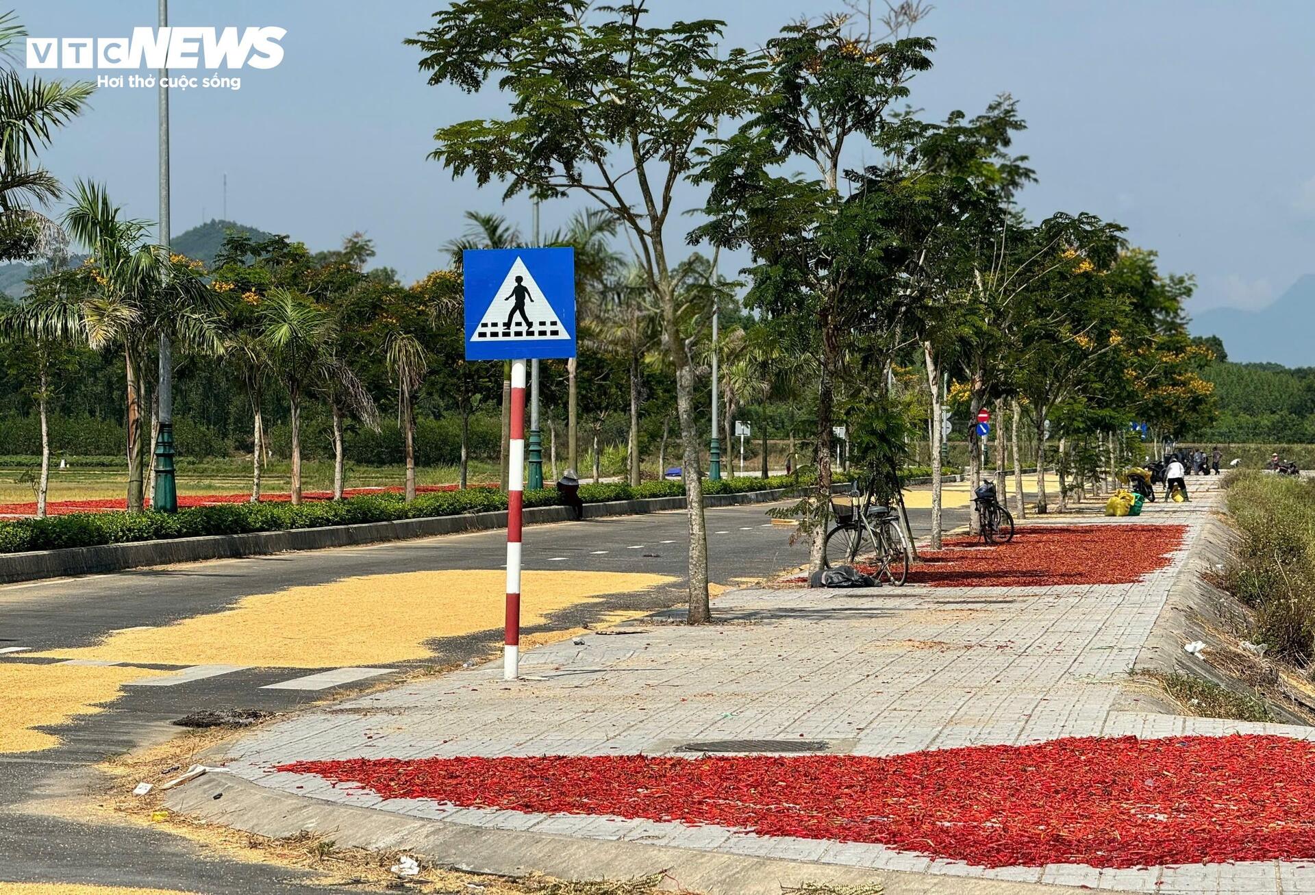 Đường hơn 34 tỷ nối Quốc lộ 1A ra giữa đồng, làm xong chỉ để phơi nông sản - Ảnh 6