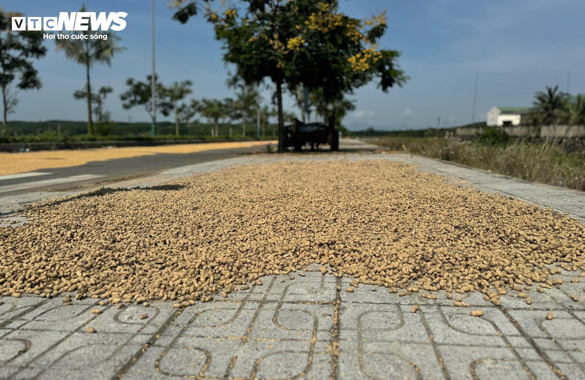 Đường hơn 34 tỷ nối Quốc lộ 1A ra giữa đồng, làm xong chỉ để phơi nông sản - Ảnh 8