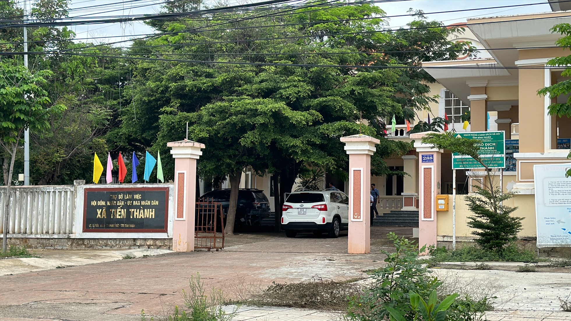 Kiến nghị chuyển hồ sơ vụ cấp trái phép hơn 21.000 m² đất tại Phan Thiết sang cơ quan công an - Ảnh 1