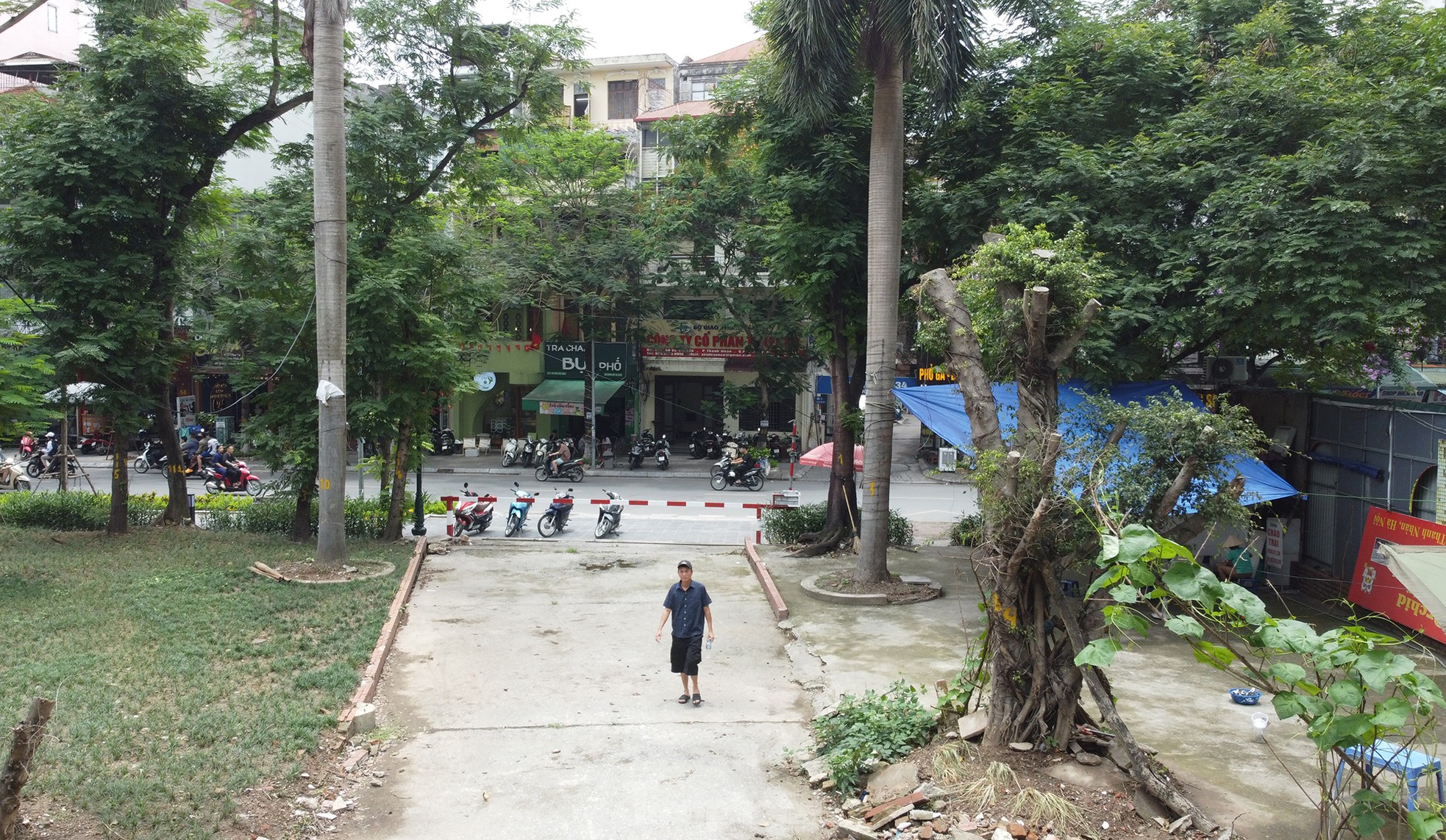Cận cảnh 3.800m2 đất nông nghiệp sắp bị thu hồi để mở rộng công viên Tuổi trẻ Thủ đô - Ảnh 11