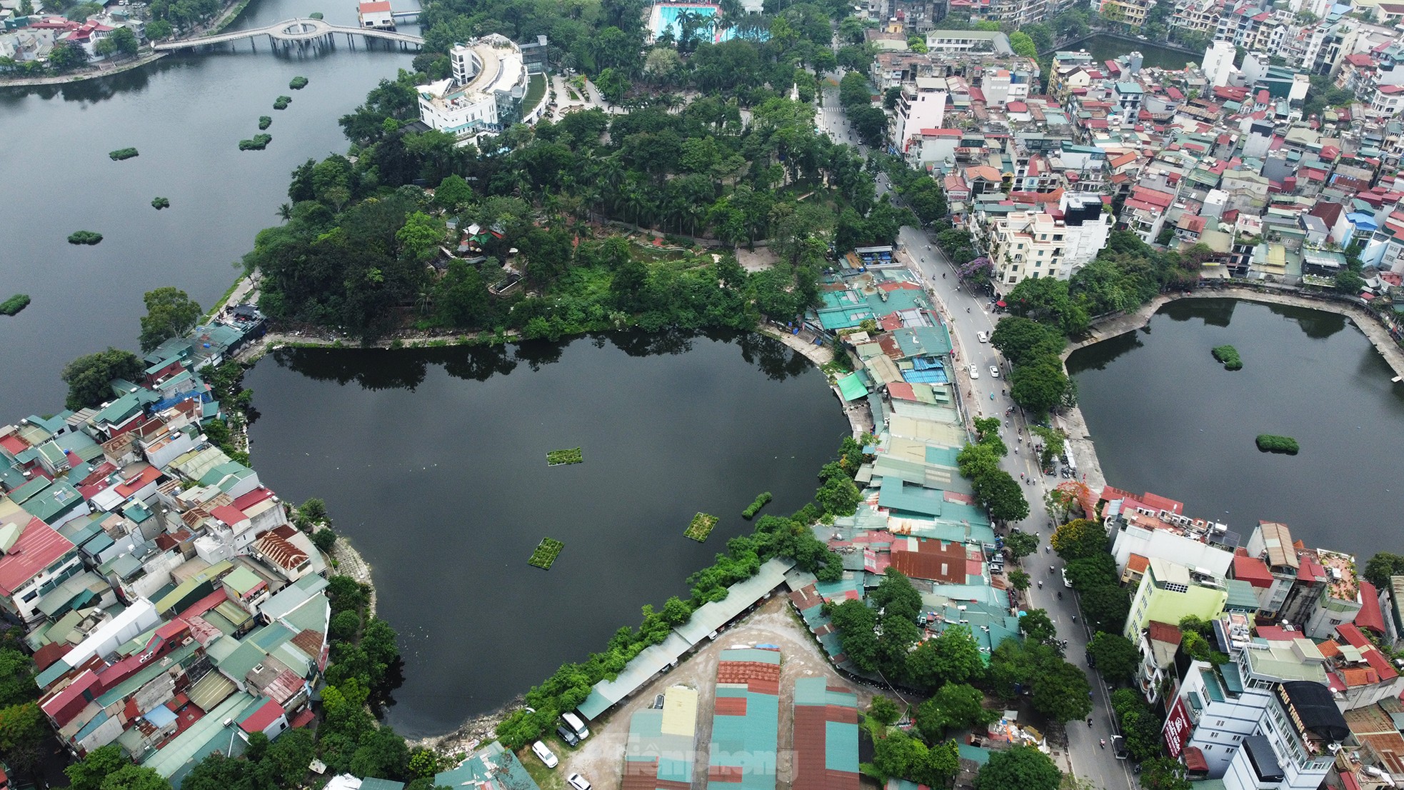 Cận cảnh 3.800m2 đất nông nghiệp sắp bị thu hồi để mở rộng công viên Tuổi trẻ Thủ đô - Ảnh 5