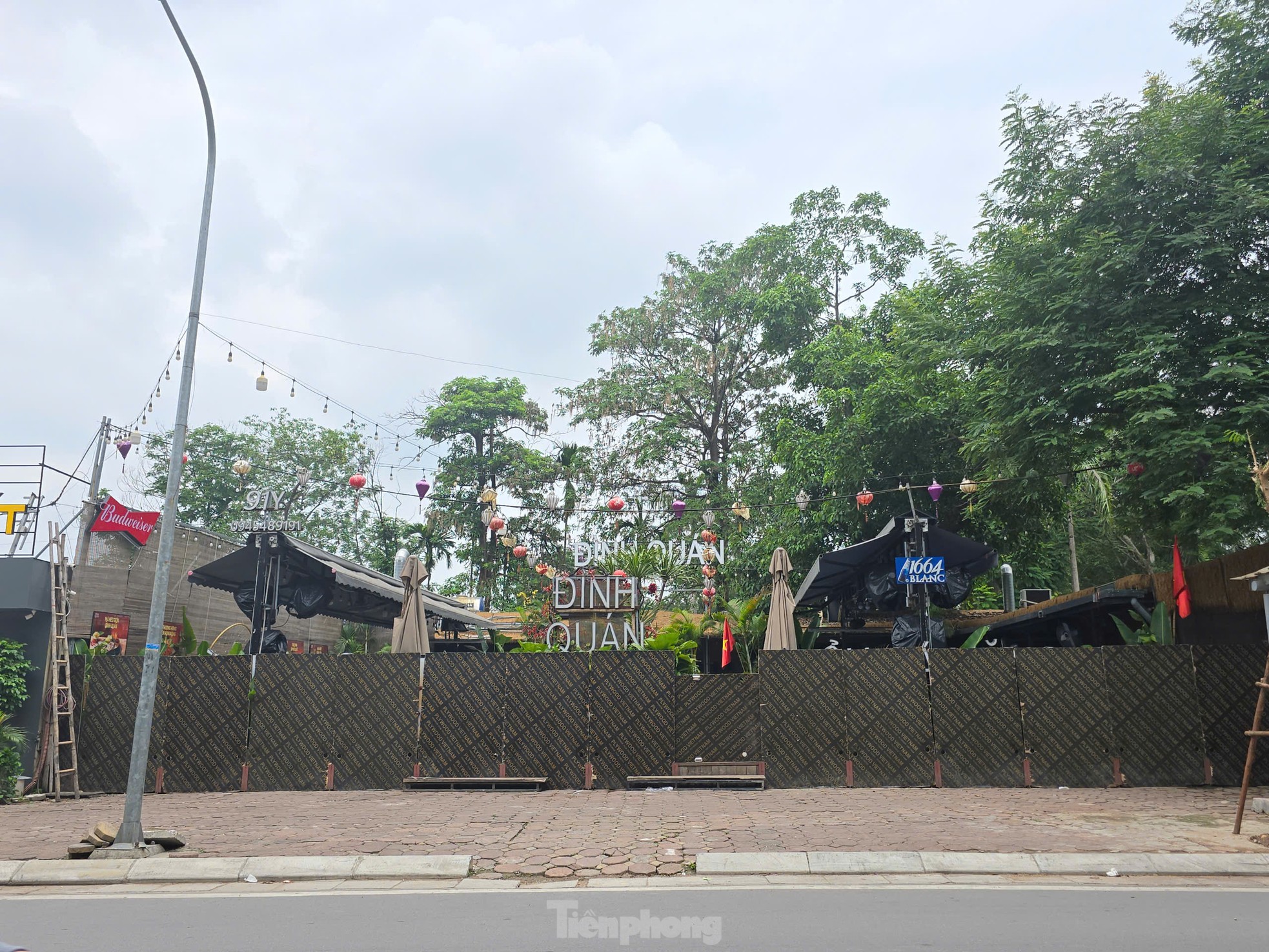 Cận cảnh 3.800m2 đất nông nghiệp sắp bị thu hồi để mở rộng công viên Tuổi trẻ Thủ đô - Ảnh 10