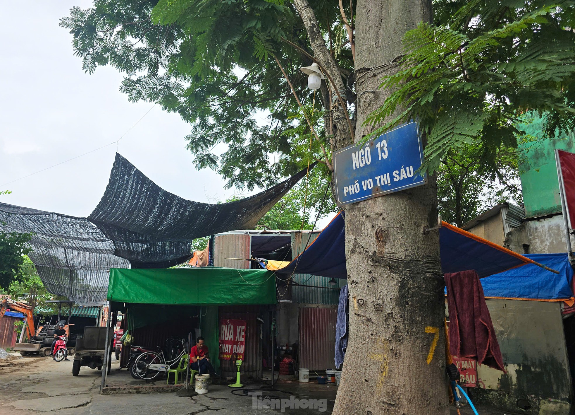 Cận cảnh 3.800m2 đất nông nghiệp sắp bị thu hồi để mở rộng công viên Tuổi trẻ Thủ đô - Ảnh 3