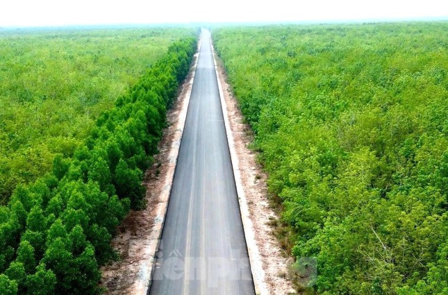 Dự án đường Hồ Chí Minh qua 4 tỉnh phía Nam vừa 'lỡ hẹn' về đích - Ảnh 2