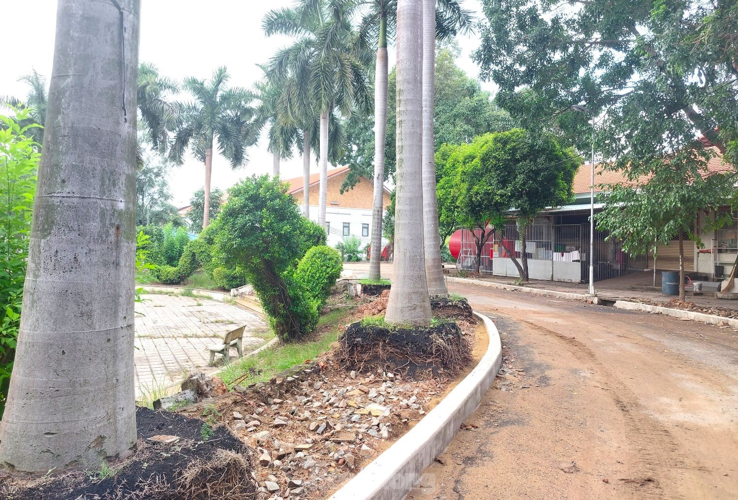 Hình ảnh công viên lớn nhất Bình Dương đang ‘lột xác’ trước khi về với TPHCM - Ảnh 7