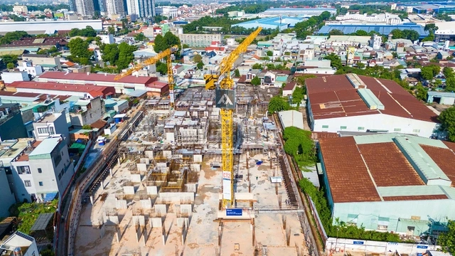 TT AVIO cán mốc ‘sold out’ giỏ hàng tháp AVIS - Ảnh 3