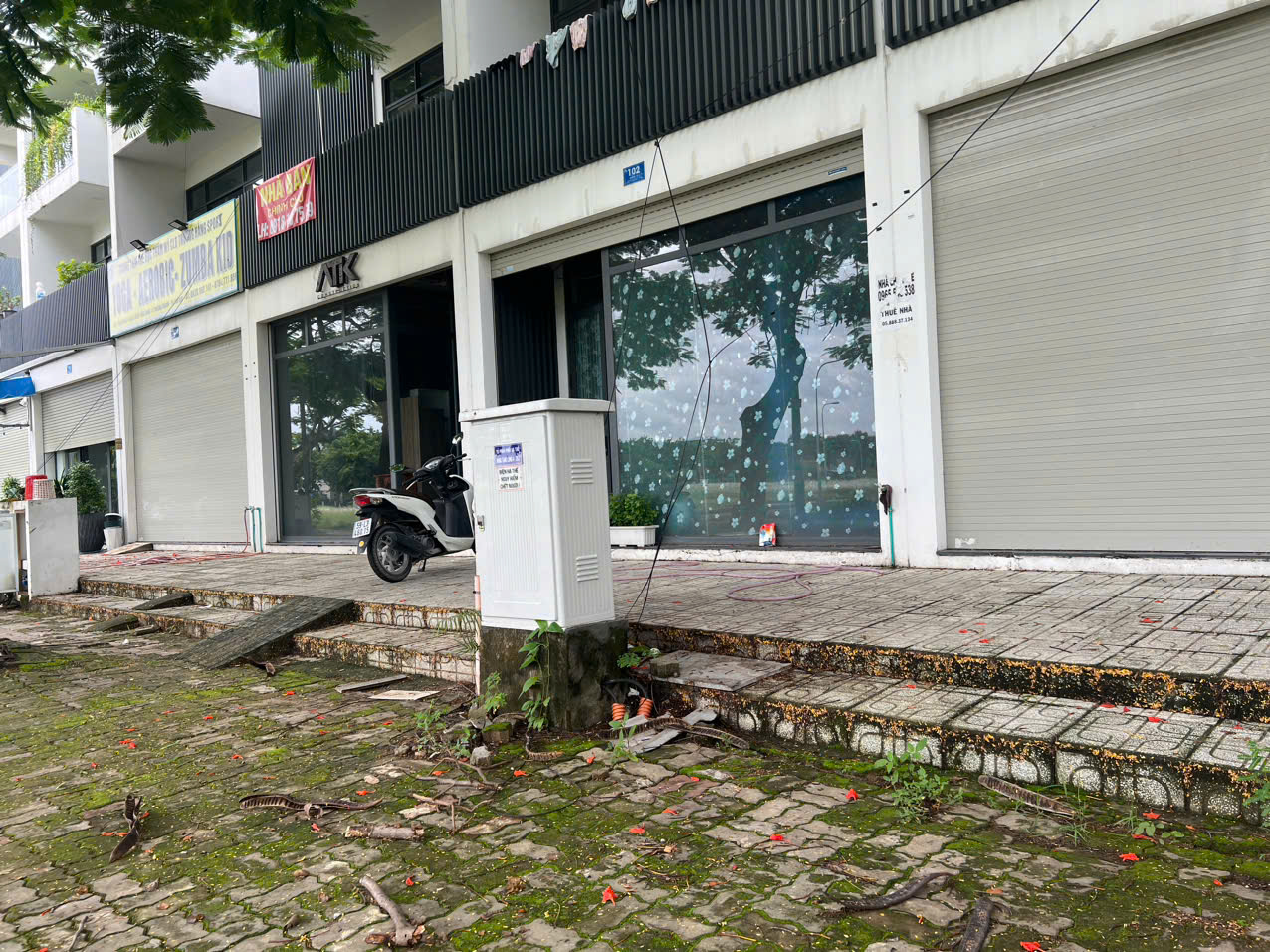 Shophouse triệu đô khu ven Tp.HCM: Chỗ hắt hiu, nơi sôi động, sự thật ít ai ngờ - Ảnh 4