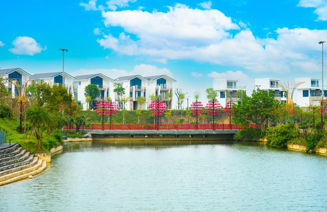 Tỉnh giấc giữa đồi thông, Legacy Hill và hành trình tìm về giá trị sống nguyên bản - Ảnh 1