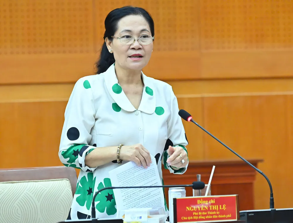 Dự kiến TPHCM vận hành thử nghiệm mô hình chính quyền địa phương 2 cấp từ ngày 12-6 - Ảnh 3