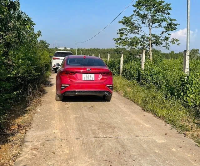 Đất vườn phía Nam có diễn biến “lạ” - Ảnh 1