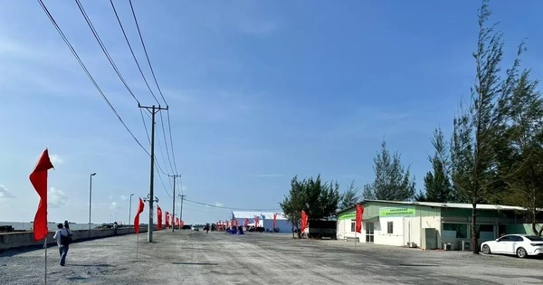 TPHCM hướng Cần Giờ thành khu đô thị xanh, thân thiện môi trường
