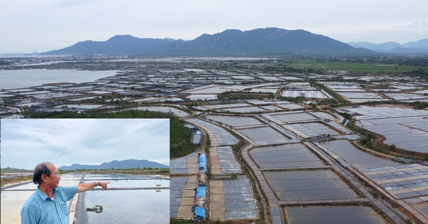 Thu hồi đất giá thấp để doanh nghiệp làm khu công nghiệp, diêm dân khiếu nại