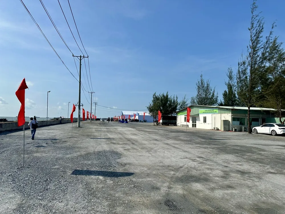 TPHCM hướng Cần Giờ thành khu đô thị xanh, thân thiện môi trường - Ảnh 1