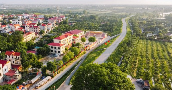 Mua đất quê 1.200m2 từ thời giá chỉ 500.000 đồng, người phụ nữ vui mừng: Vừa rao bán 6,5 tỷ đồng đã có người mua ngay