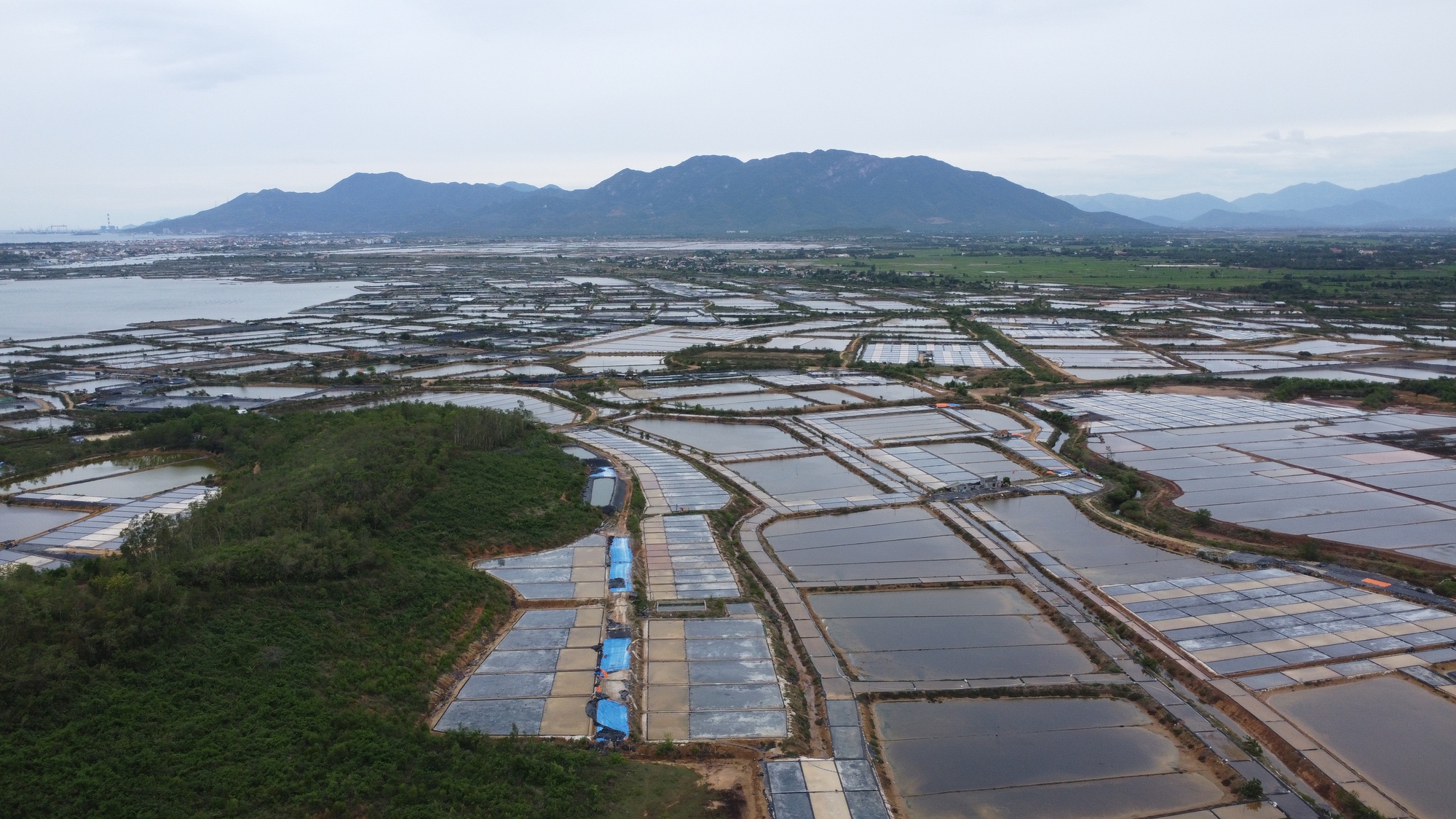 Thu hồi đất giá thấp để doanh nghiệp làm khu công nghiệp, diêm dân khiếu nại - Ảnh 1
