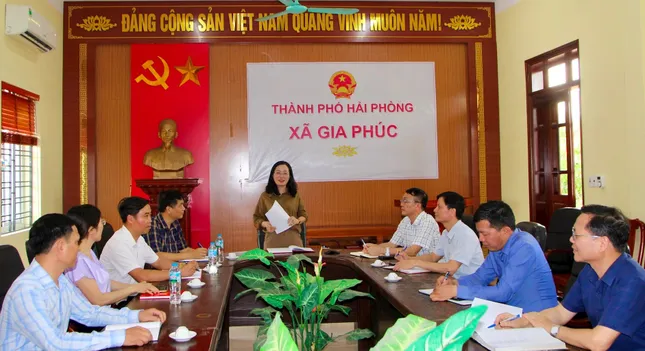 Hải Dương: Sẵn sàng vận hành 12 phường, xã mới sau hợp nhất - Ảnh 2