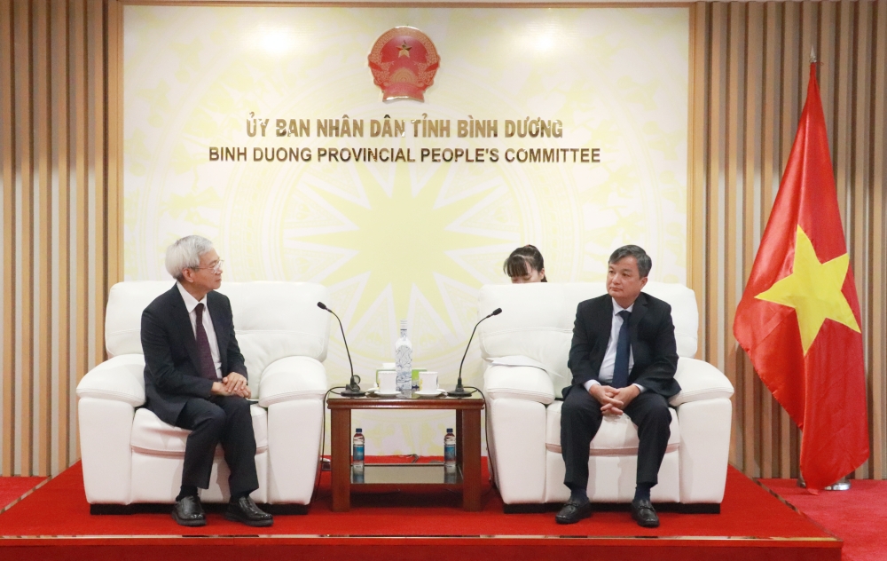 Một tập đoàn lớn muốn hợp tác với Bình Dương phát triển đường sắt đô thị - Ảnh 1