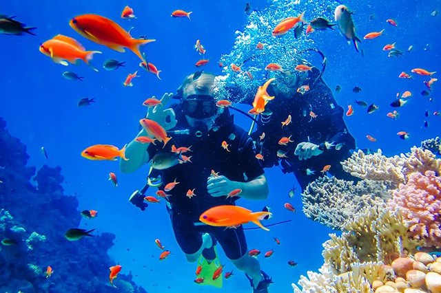 Cùng Villa Le Corail, A Gran Meliá Hotel bảo tồn hệ sinh thái ngay dưới thềm dinh thự - Ảnh 1